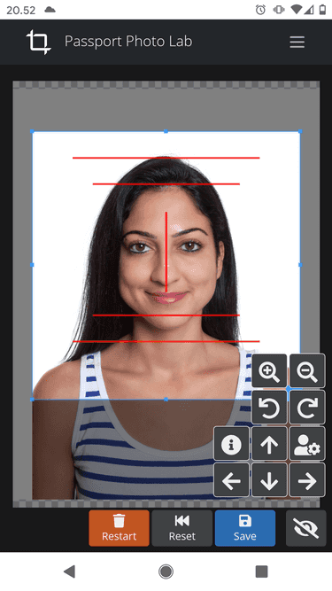 Screenshot of Passport Photo Lab editor used on mobile browser.